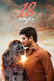 18 Pages (2022)