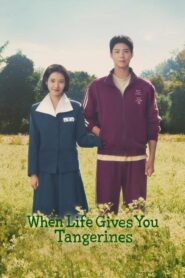 When Life Gives You Tangerines (Season 1)